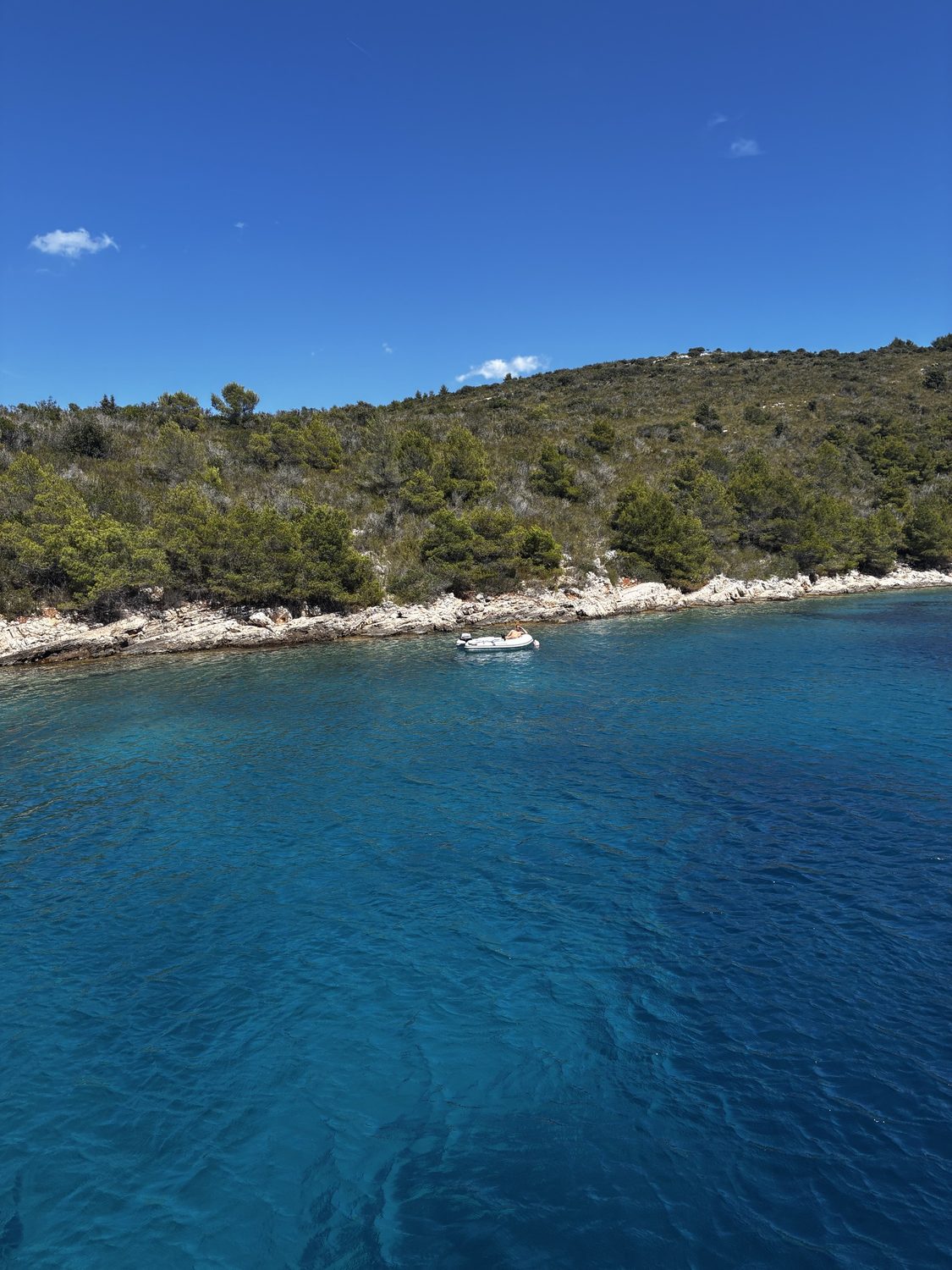 Yacht vor Anker an einer bewaldeten Inselküste in Mitteldalmatien